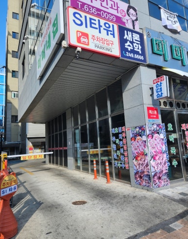 피오르달리조대구 이미지