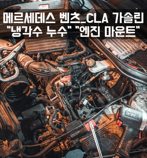 준게라지 이미지