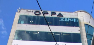 부산고양이까페나비정원 이미지