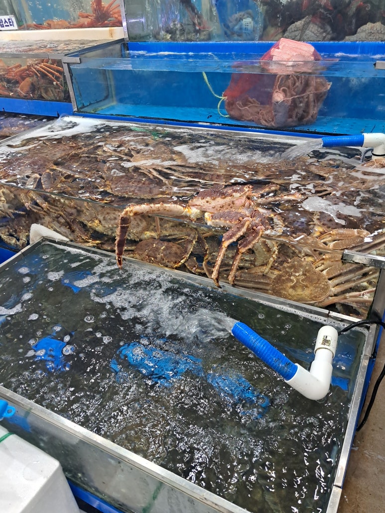 태광물산 이미지