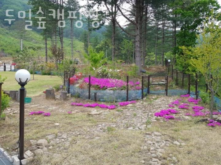 두밀숲캠핑장 이미지