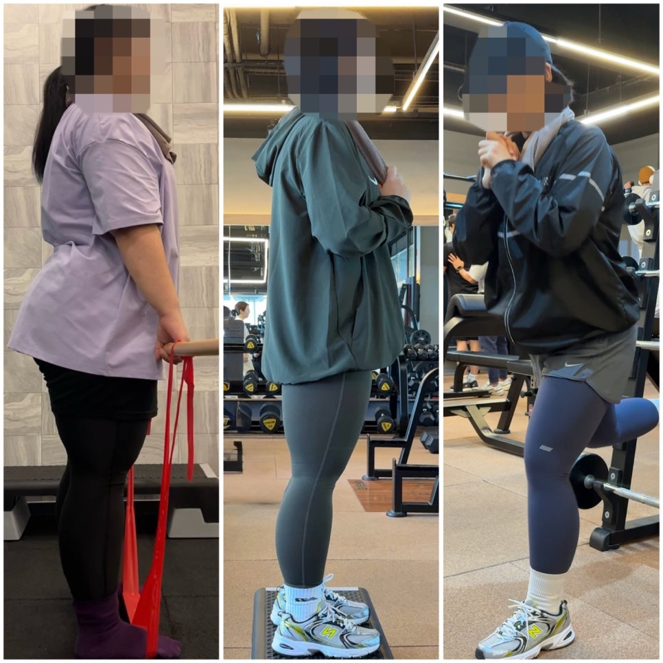 바디에딕트 이미지