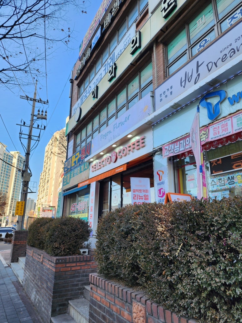 셀렉토안양 이미지