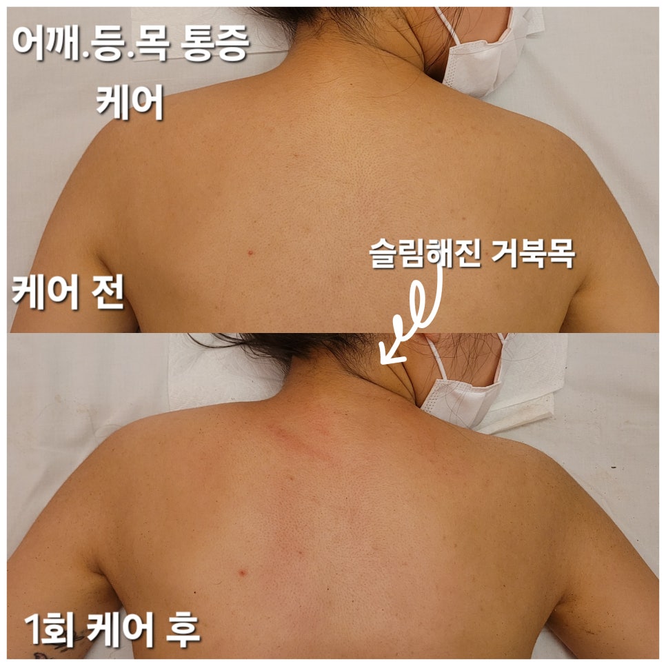 나움 이미지