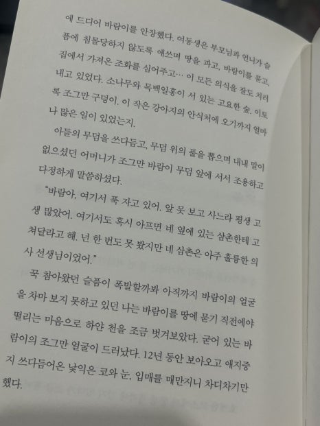 짜오 이미지
