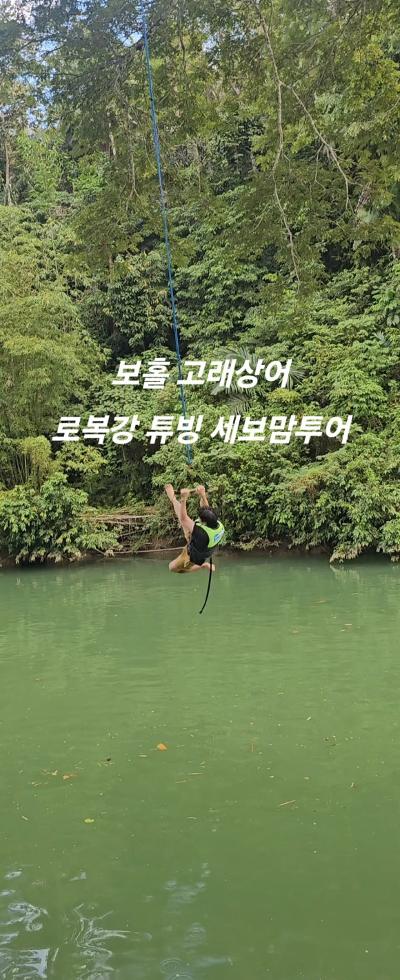 세보맘투어 이미지