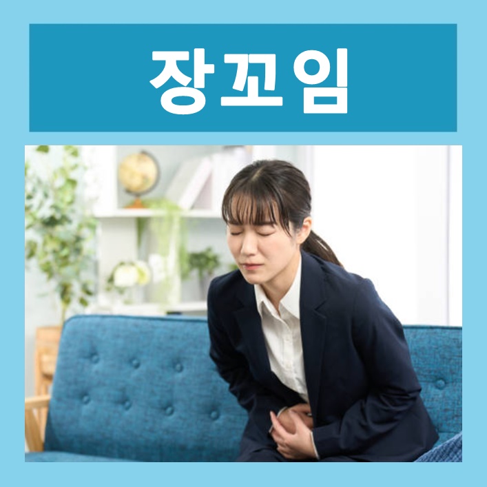 장꼬 이미지