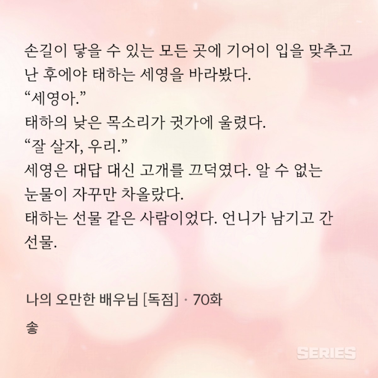 세영정육 이미지