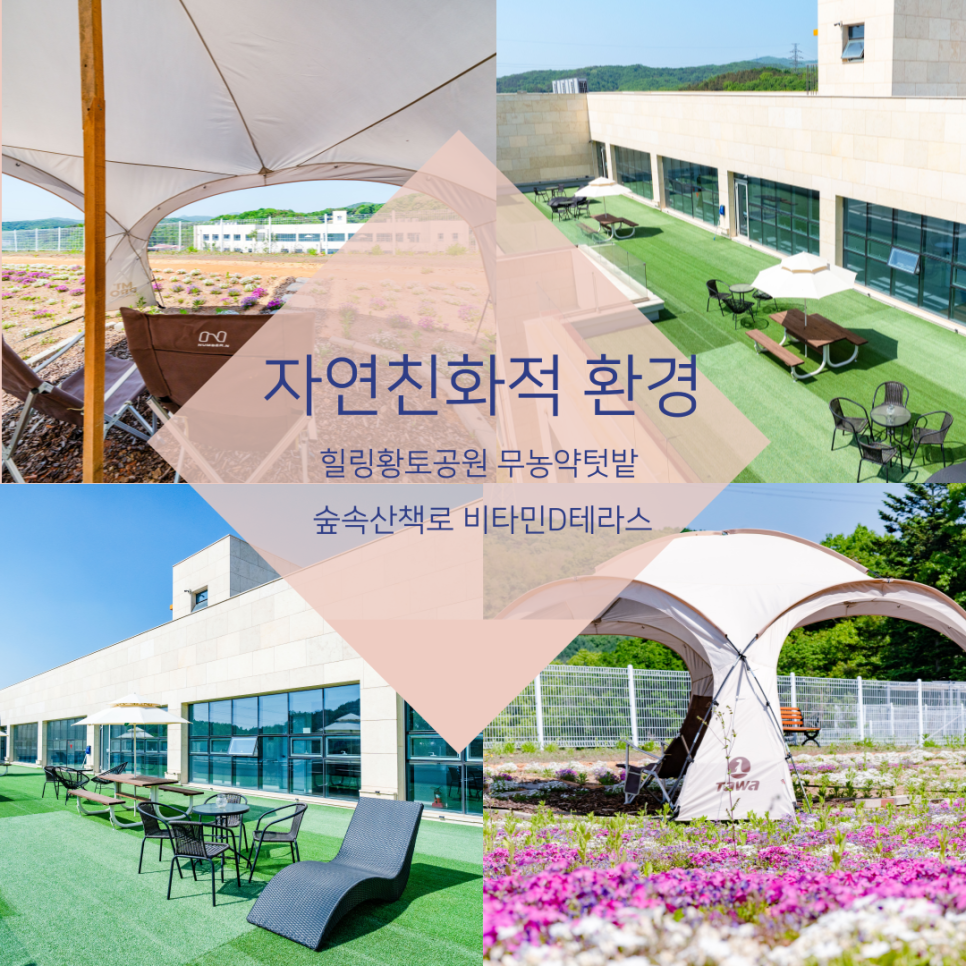 자연안에병원 이미지