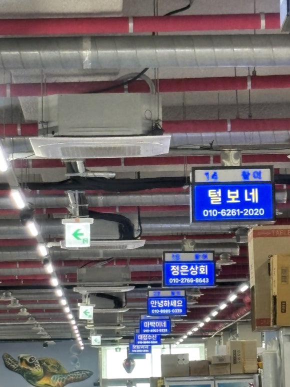 정은상회 이미지