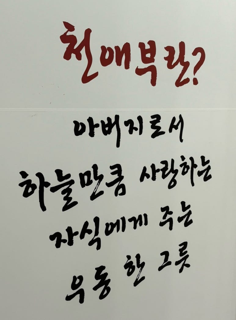 천애부히쇼우 이미지