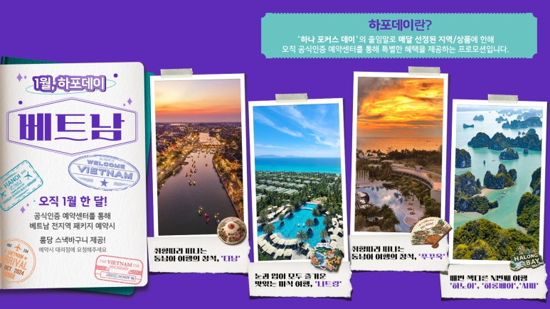 엠에스투어 이미지