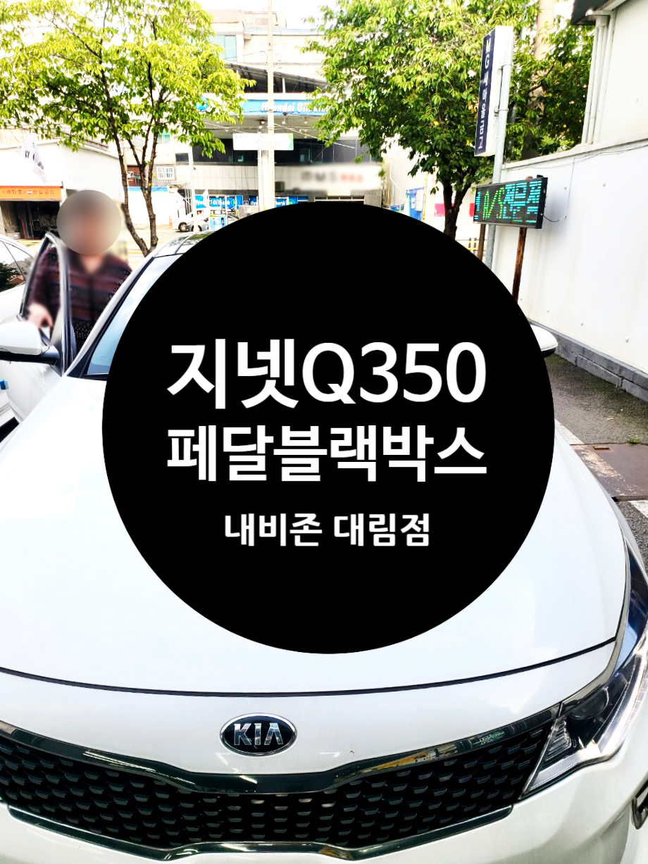 내비존 이미지
