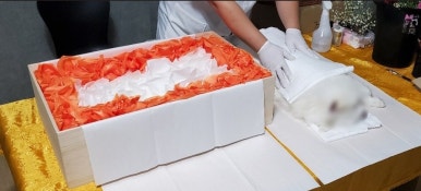경주장례식장(주) 이미지