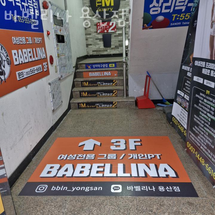 벨리나 이미지