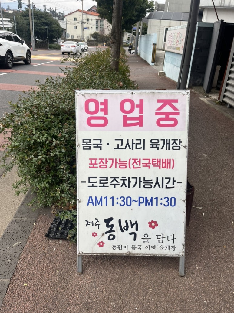 제주동백을담다 이미지