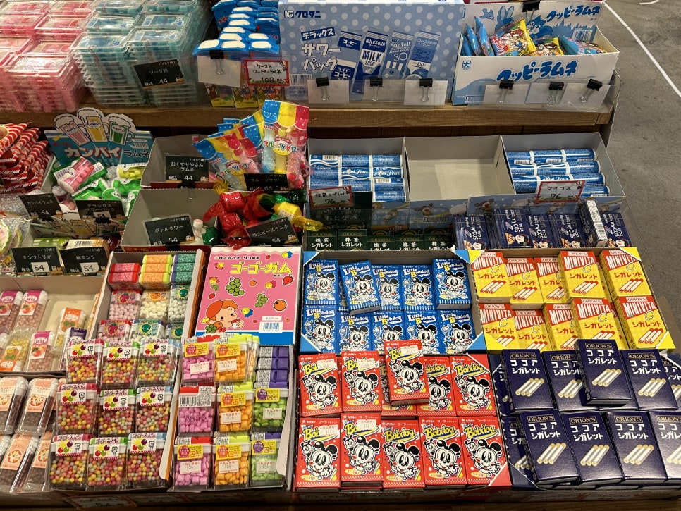 (주)다모아투어 이미지
