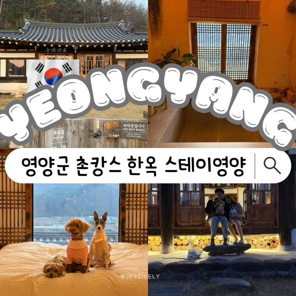 스테이영양둘째 이미지