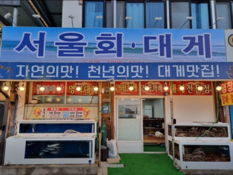 서울.회.대게 이미지