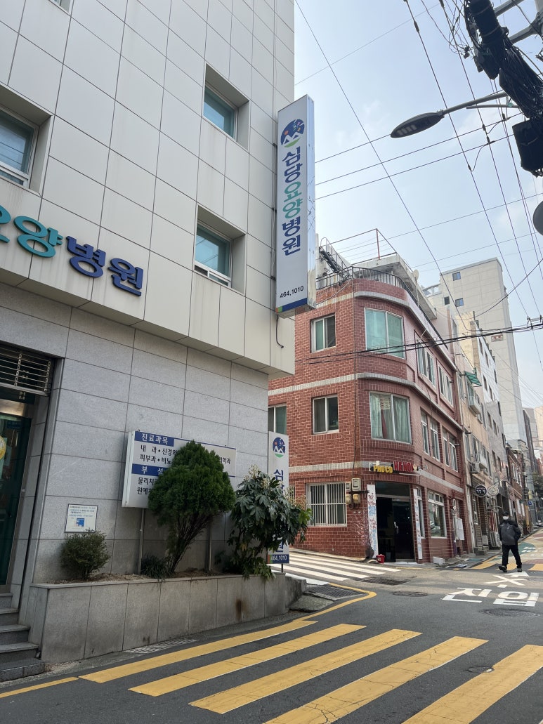 포고하노이 이미지