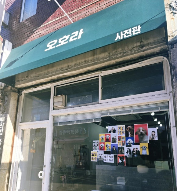 오호라사진관 이미지