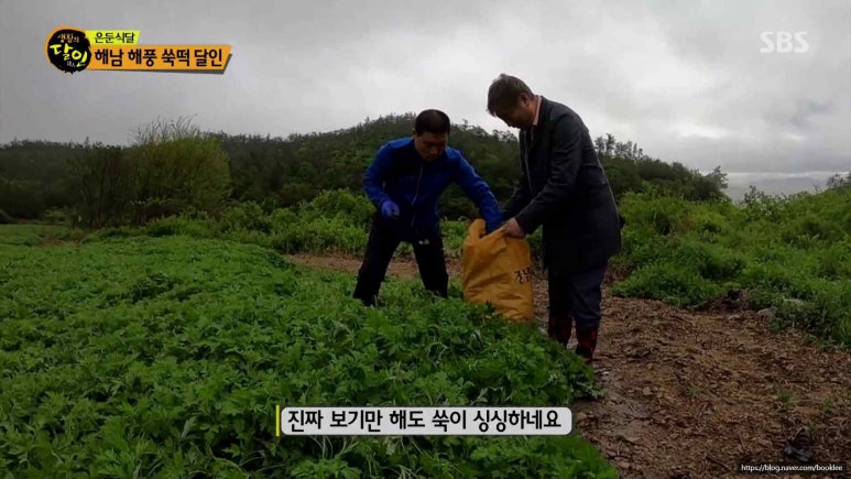 전통떡집쑥떡쑥떡 이미지