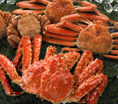 영덕대게 이미지