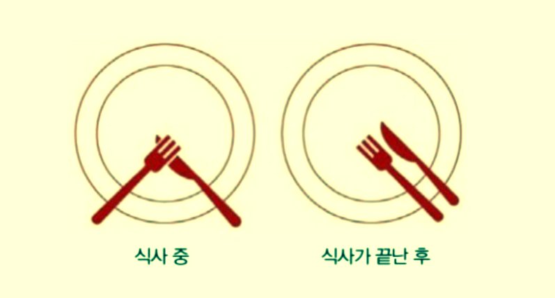 리덴 이미지