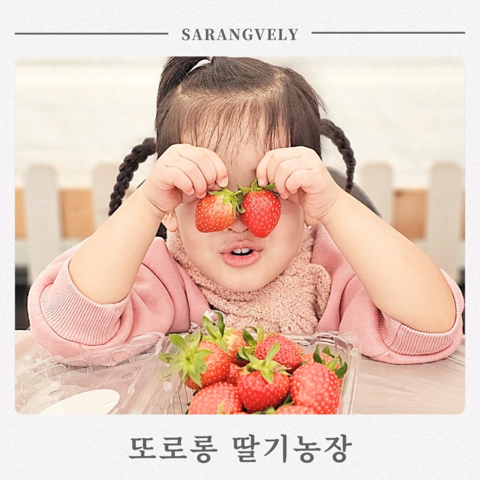 또로롱딸기농장 이미지