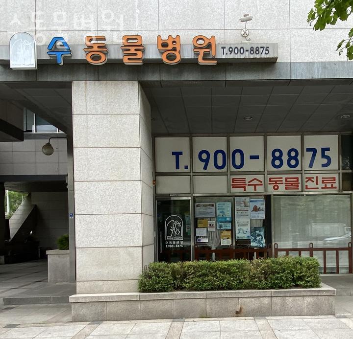 수동물병원 이미지