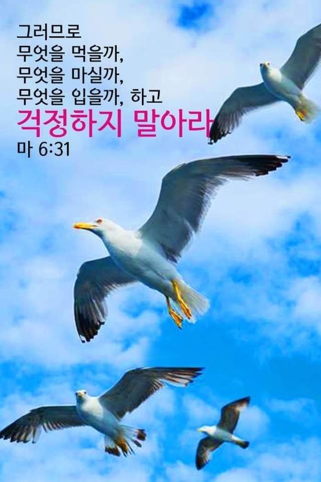 잭슨빌 이미지