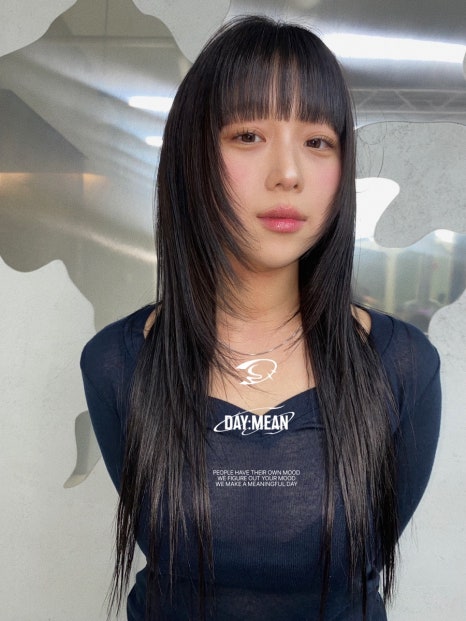 데이민 이미지