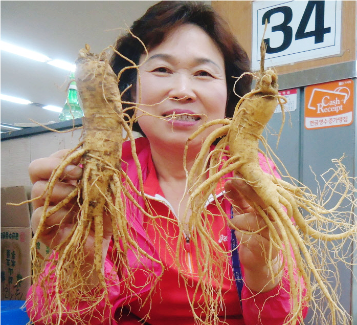 강화수삼센타 이미지