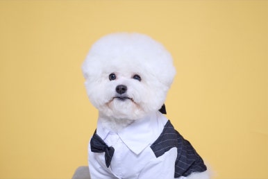 루체테스튜디오 이미지