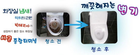 크린보이 이미지