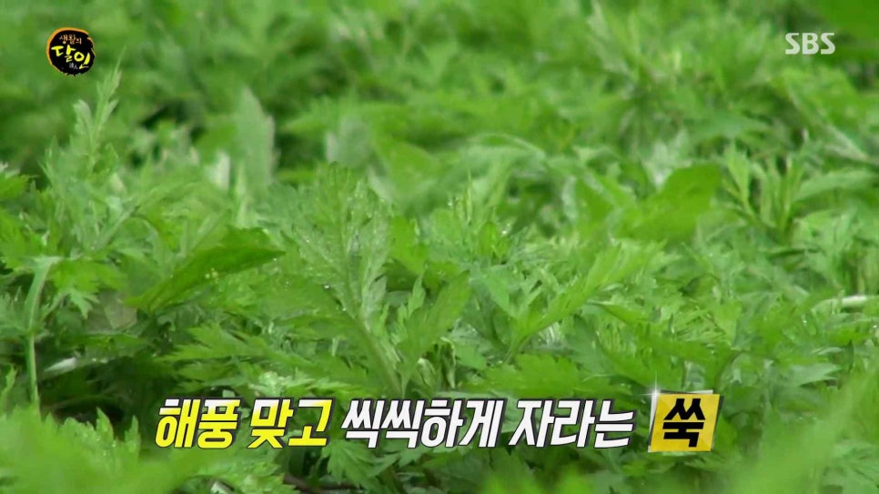 자연떡방앗간 이미지