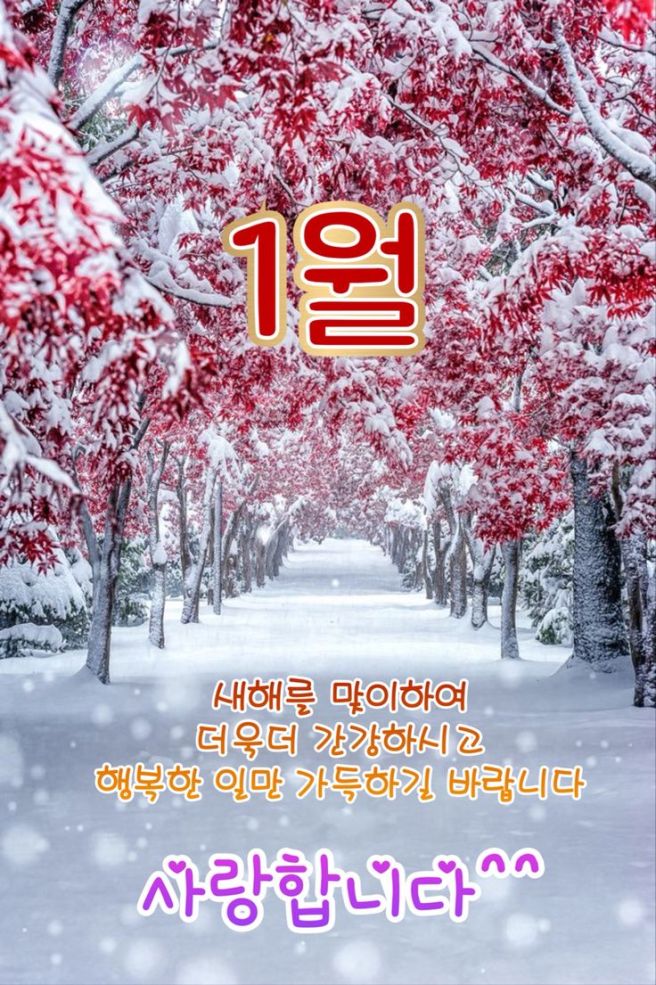 애플김밥 이미지