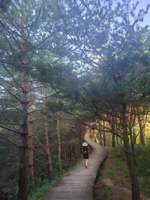 사계절샘터 이미지