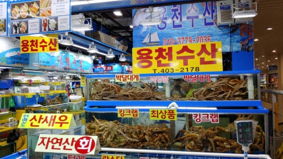 가락싱싱 이미지