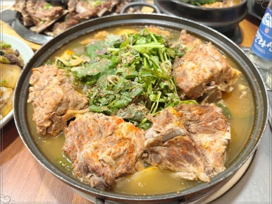 제주산돼지 이미지