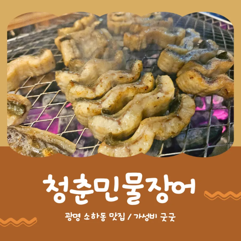 청춘민물장어 이미지