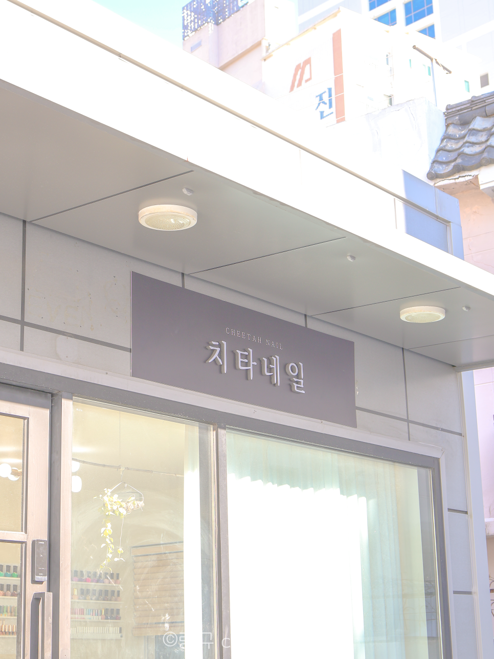 치타네일 이미지