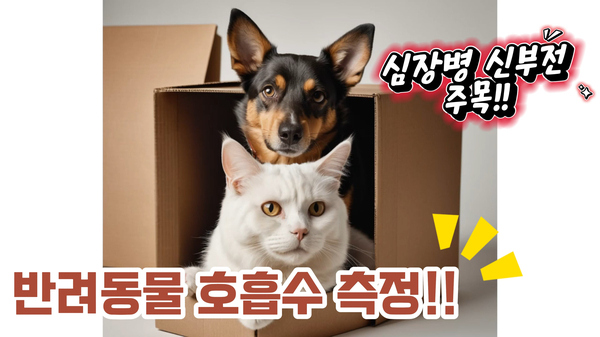 김진영내과 이미지