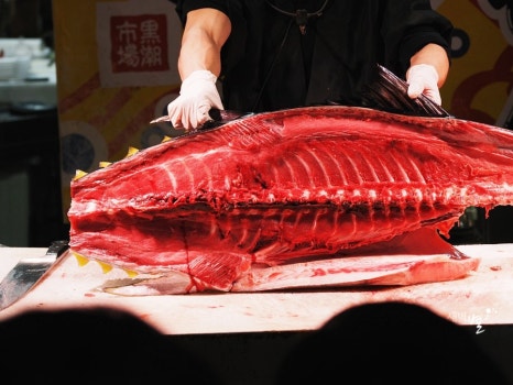 참치랜드 이미지