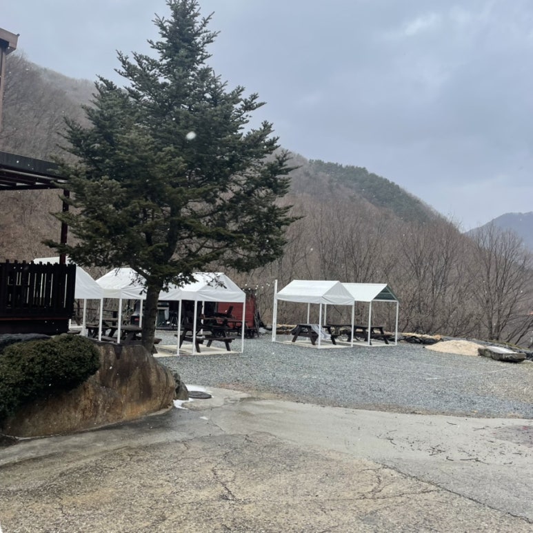 느티나무산장 이미지