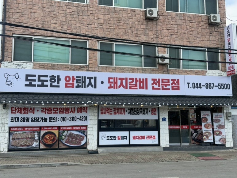 도도한암퇘지 이미지