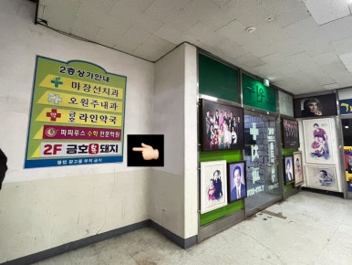 금호복돼지 이미지