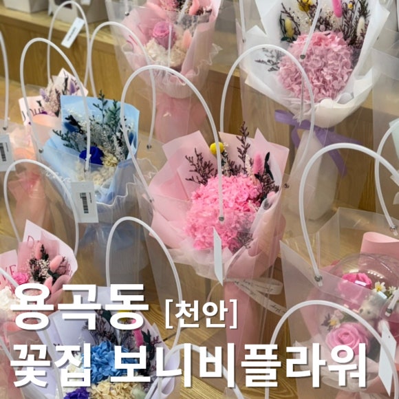 보니비플라워 이미지