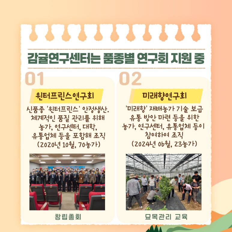 미래향 이미지