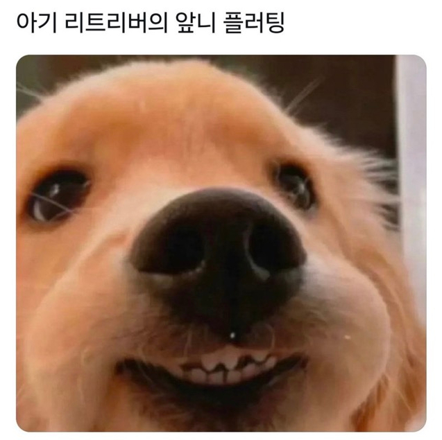 너드 이미지
